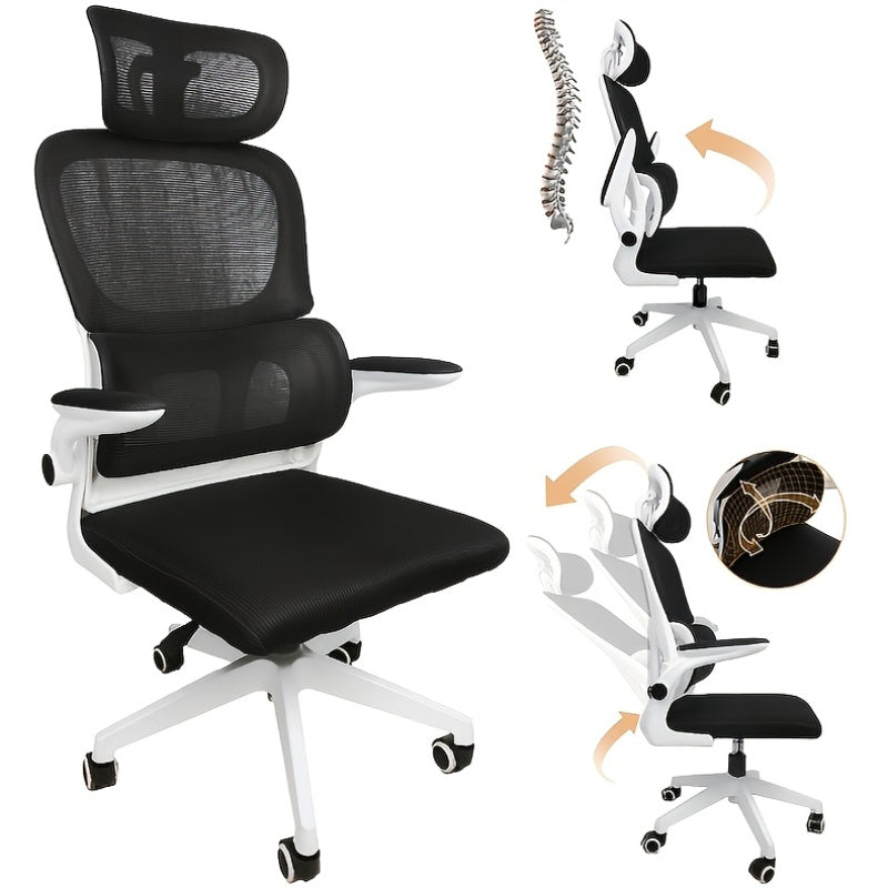 Ergonomic Lumbar Office Chair