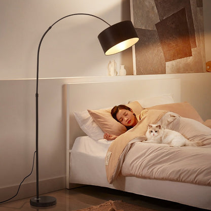 Modern Floor Lamp