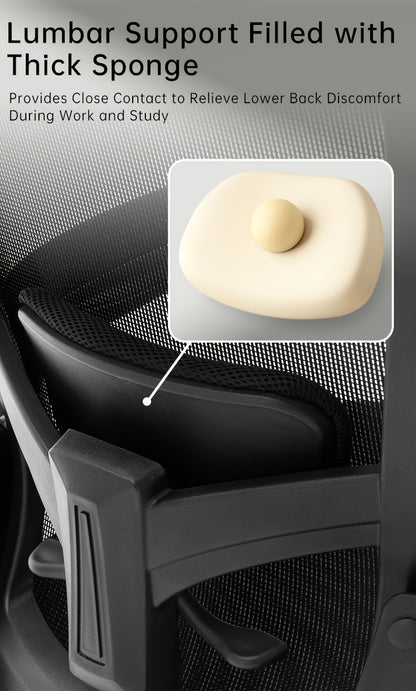 Lumbar Ergonomic Office Chair