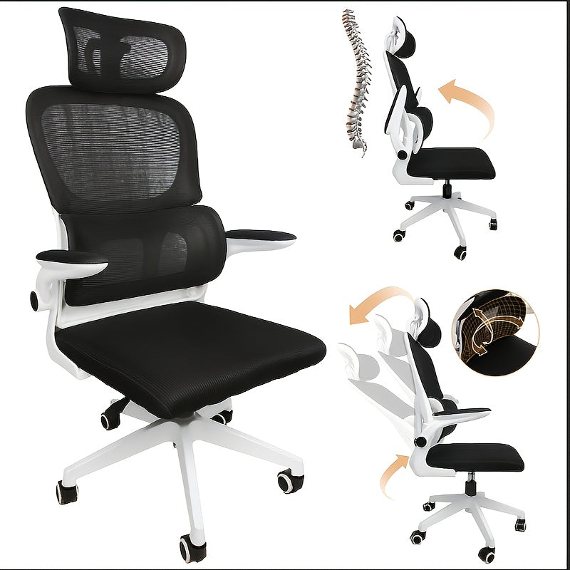Ergonomic Lumbar Office Chair