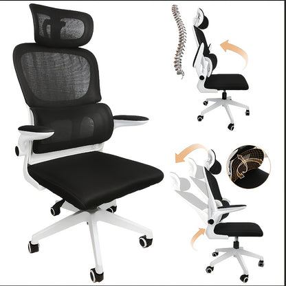 Ergonomic Lumbar Office Chair